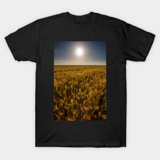 Wheat field at sunset, sun in the frame T-Shirt